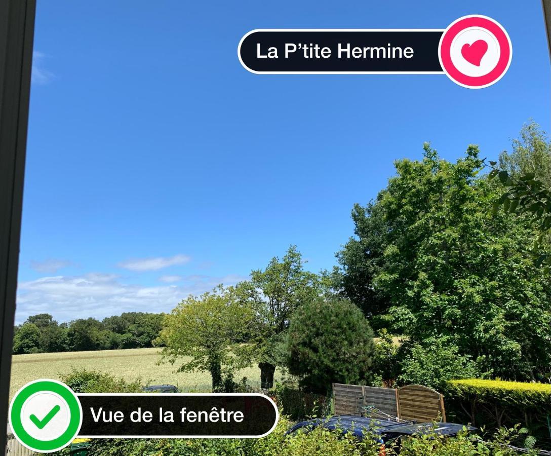 Le Petit Triskell, Gites Culturel A La Roche Bernard, Gite Les Petits Bonheurs Ferel Ngoại thất bức ảnh