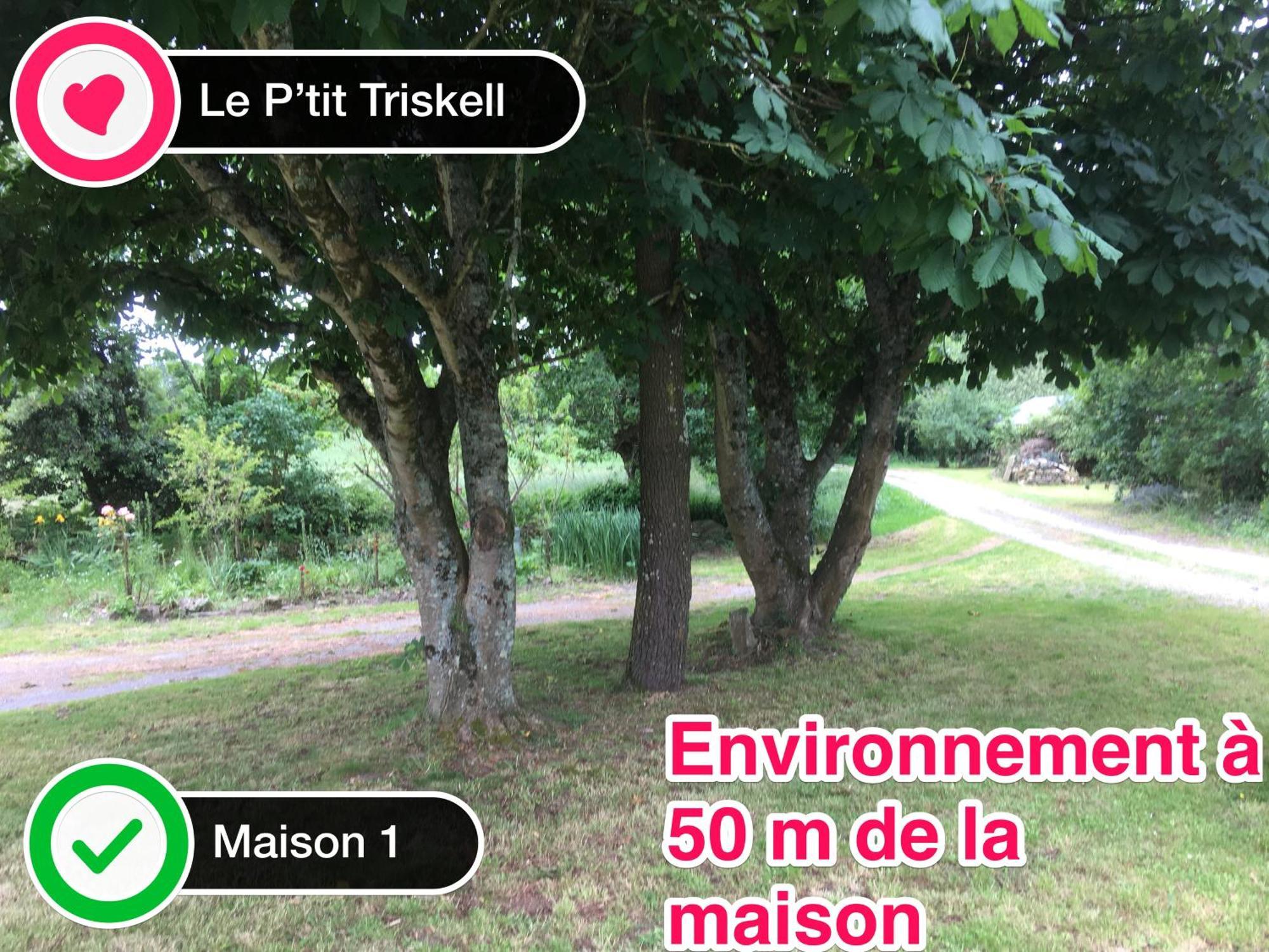 Le Petit Triskell, Gites Culturel A La Roche Bernard, Gite Les Petits Bonheurs Ferel Ngoại thất bức ảnh